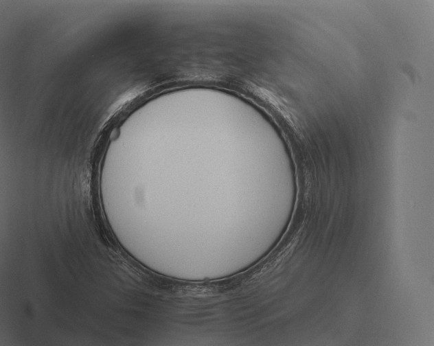 X0000116311307200912291443