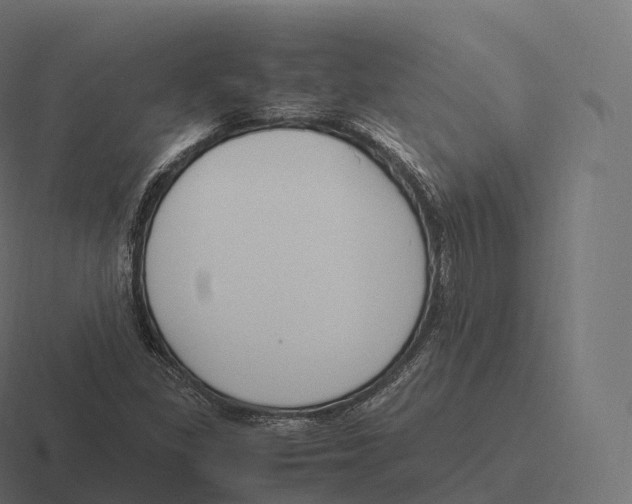 X0000116311309200912291443