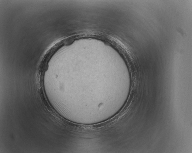 X0000116311310200912291443