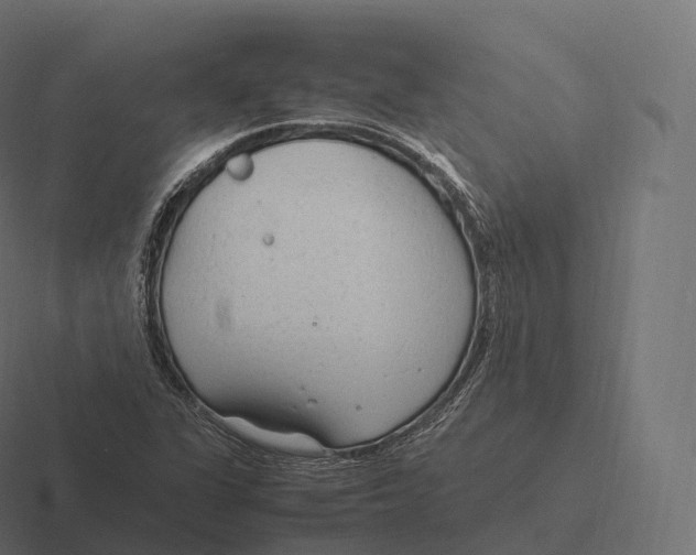 X0000116311311200912291443