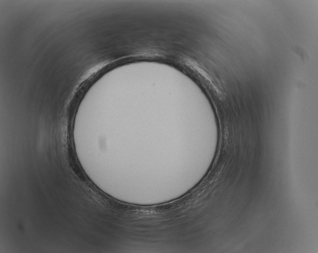 X0000116311315200912291443