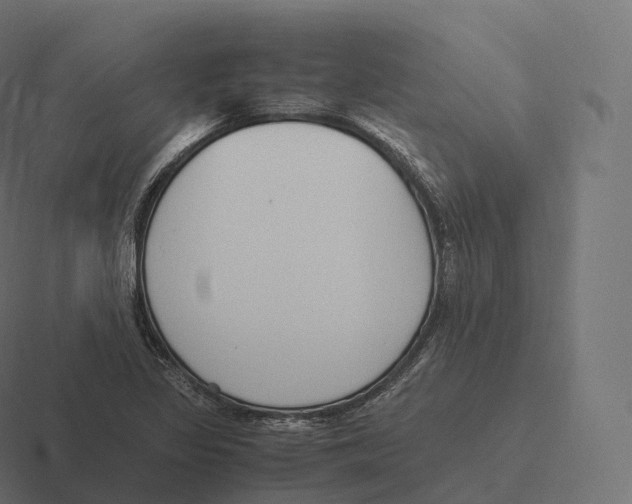 X0000116311317200912291443