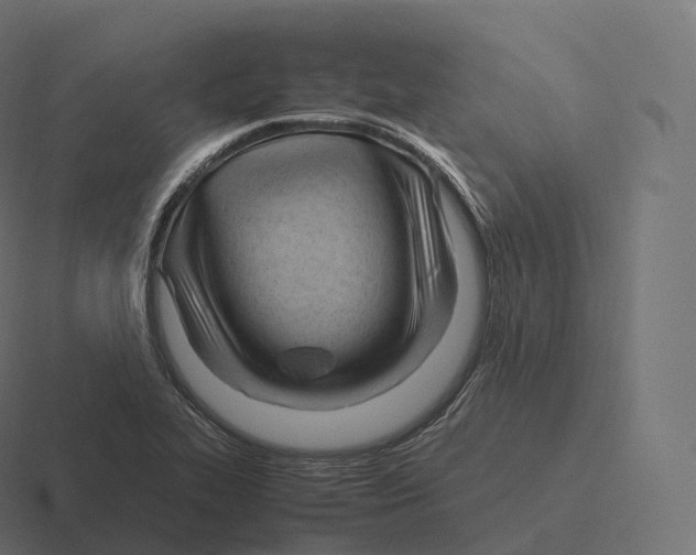 X0000116311319200912291443