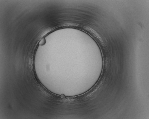 X0000116311321200912291443