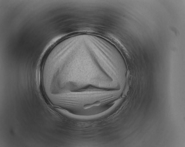 X0000116311323200912291443