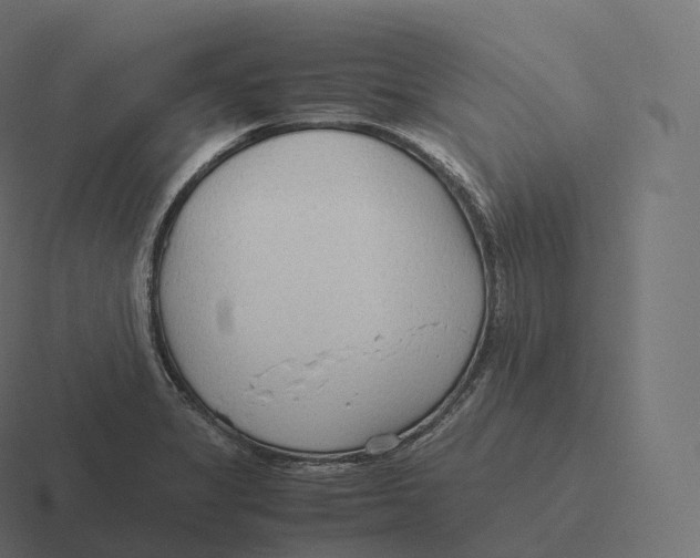 X0000116311325200912291443