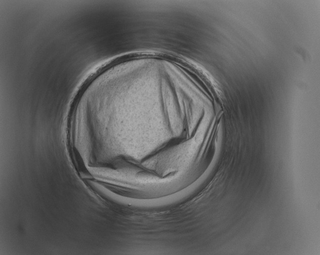 X0000116311327200912291443