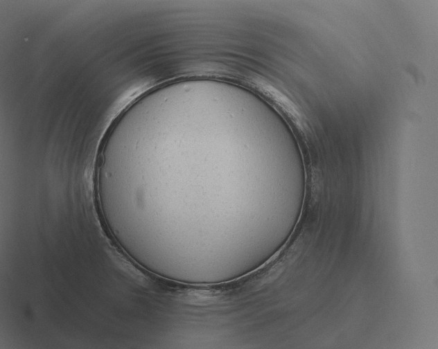 X0000116311330200912291443