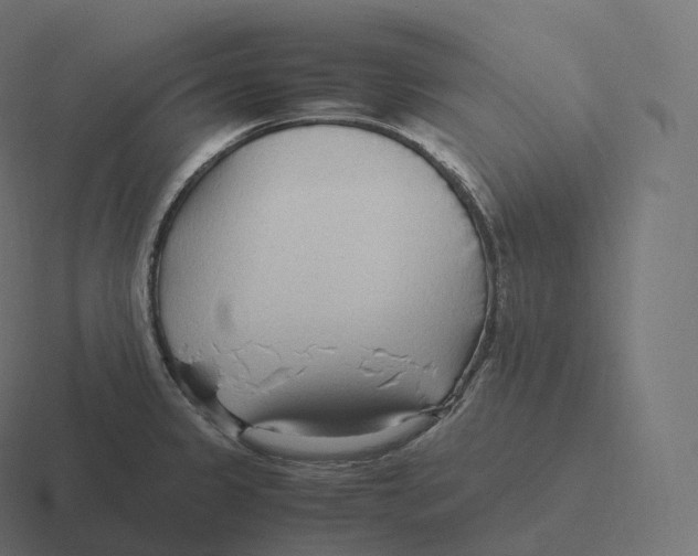 X0000116311333200912291444