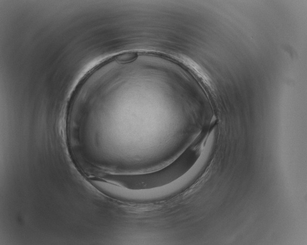 X0000116311334200912291444