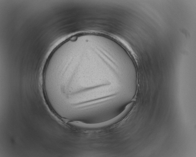 X0000116311335200912291444