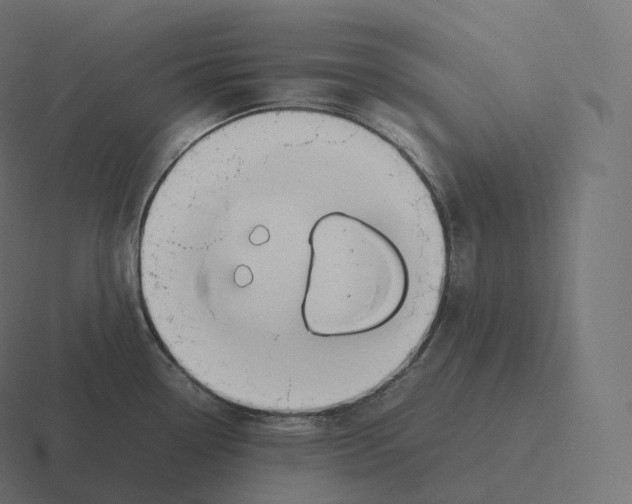 X0000116311338200912291444