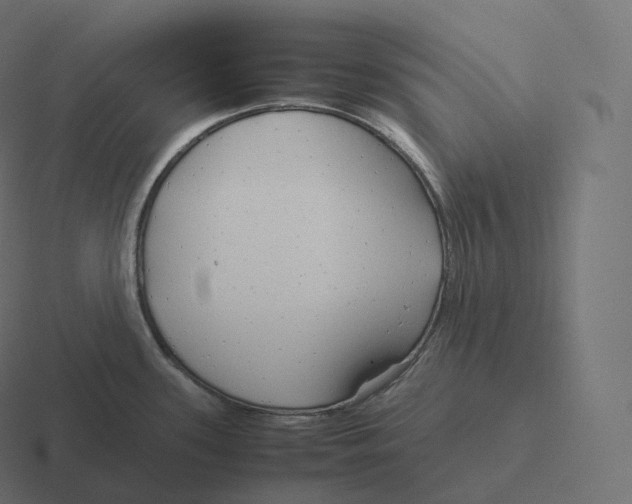 X0000116311339200912291444