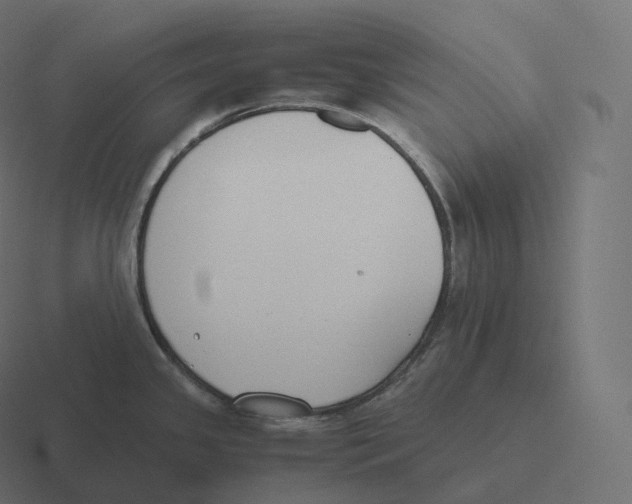 X0000116311341200912291444