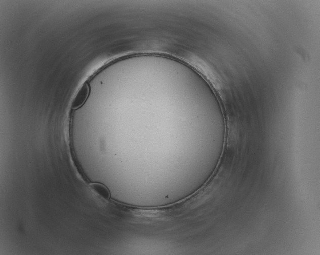 X0000116311342200912291444