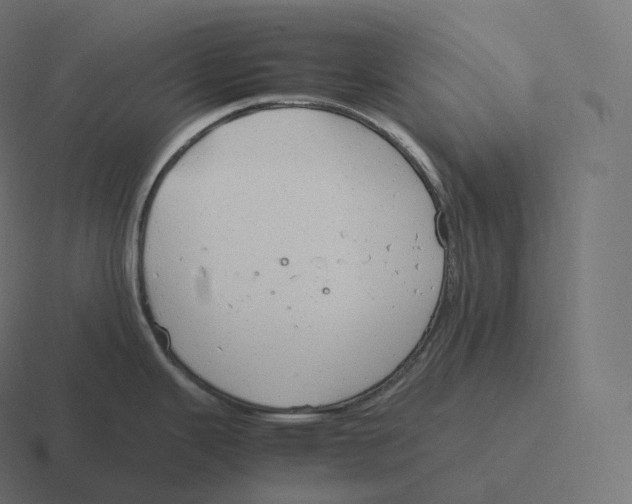 X0000116311343200912291444