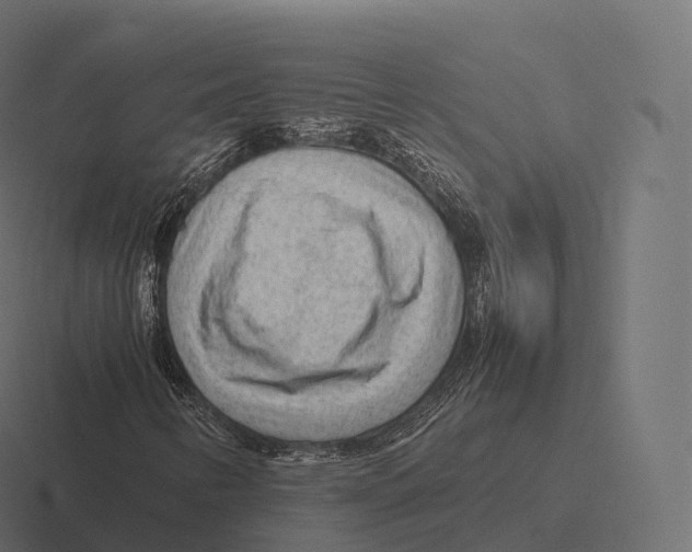 X0000116311346200912291443