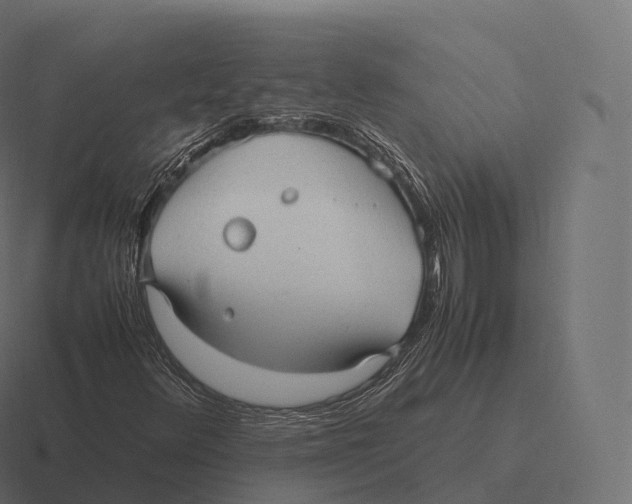 X0000116311348200912291443