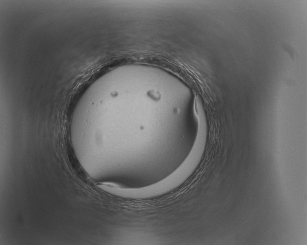 X0000116311349200912291443