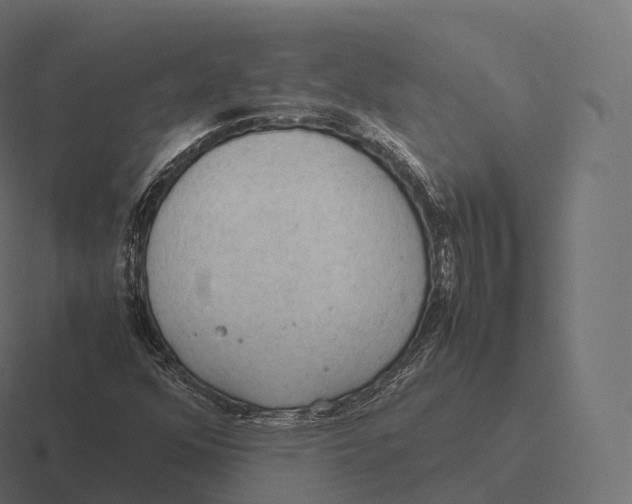 X0000116311352200912291443