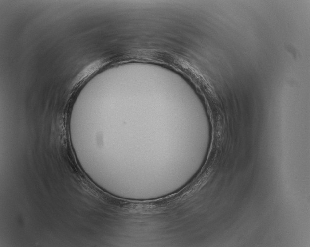 X0000116311354200912291443