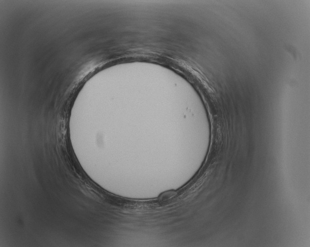 X0000116311355200912291443