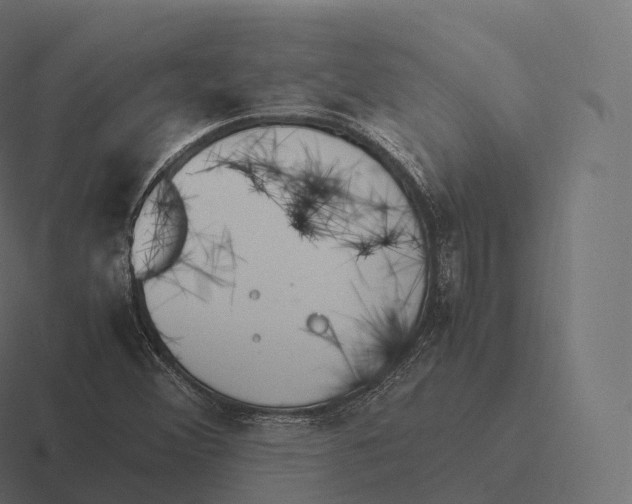 X0000116311356200912291443