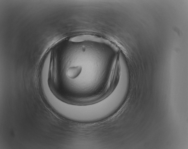 X0000116311357200912291443