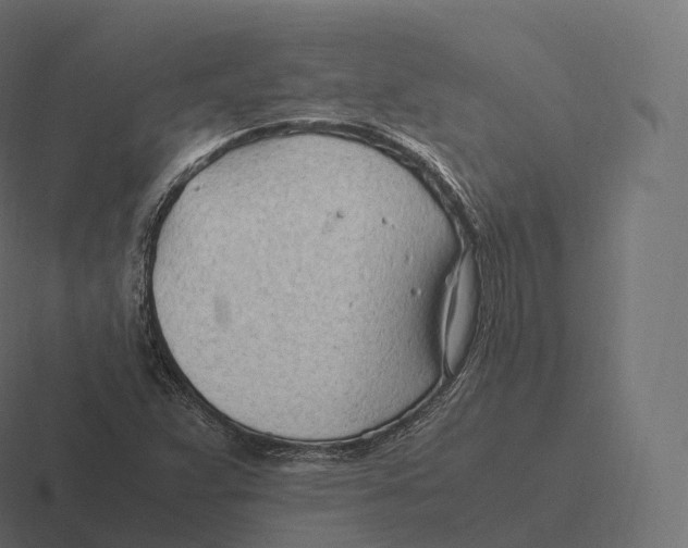 X0000116311359200912291443