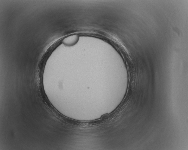 X0000116311360200912291443