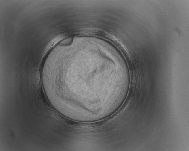 X0000116311362200912291443