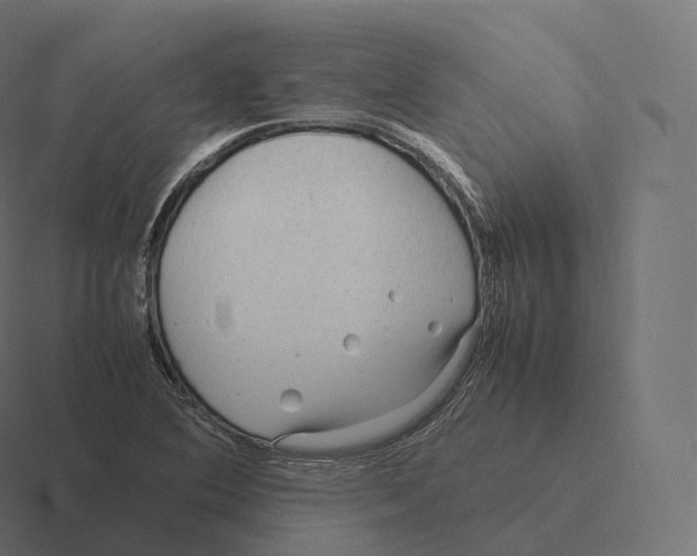 X0000116311364200912291443