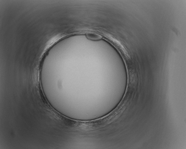 X0000116311365200912291443