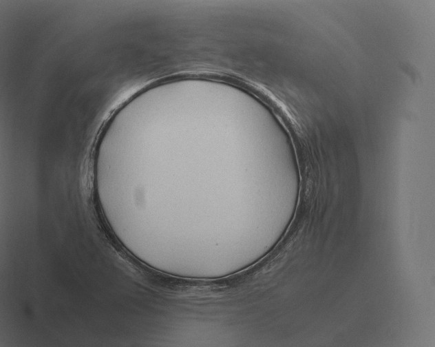 X0000116311367200912291443