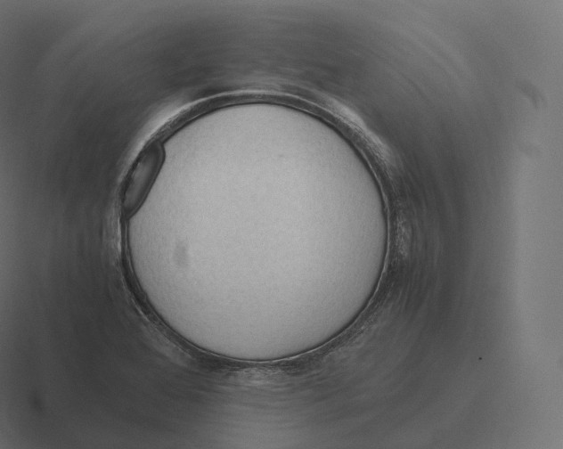 X0000116311368200912291443