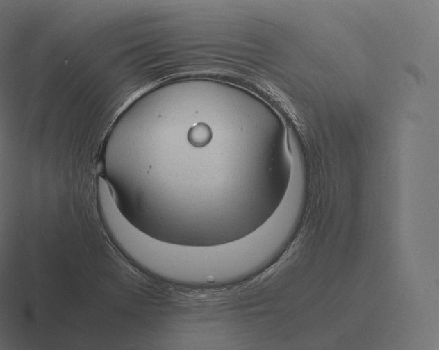 X0000116311369200912291443