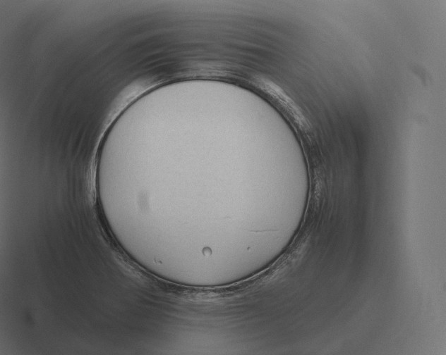 X0000116311370200912291443