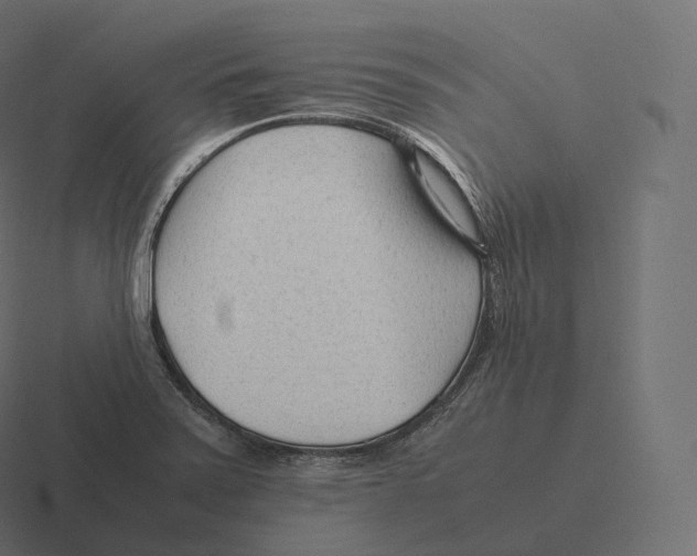 X0000116311371200912291443