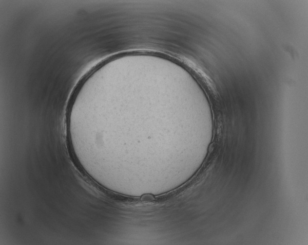 X0000116311372200912291443