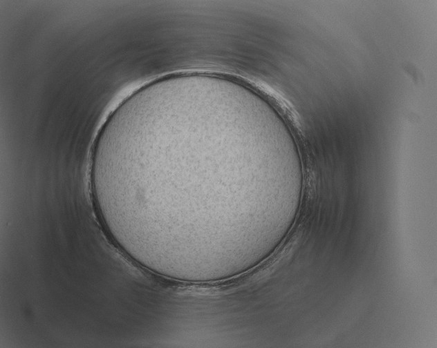 X0000116311374200912291443