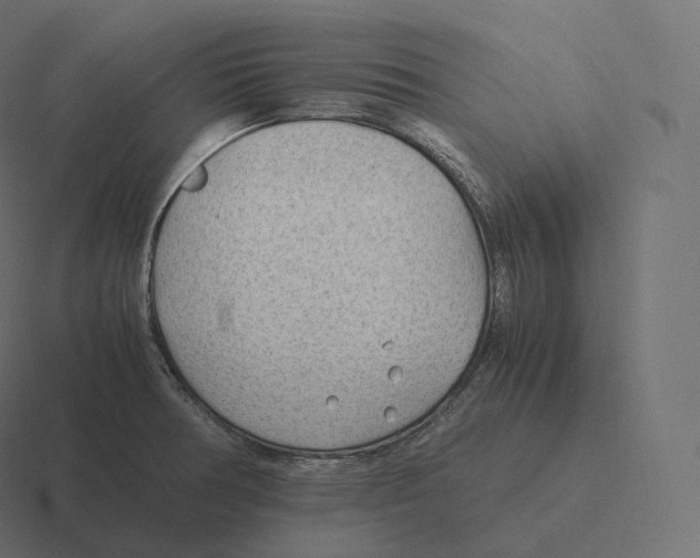 X0000116311378200912291443