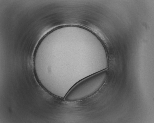 X0000116311380200912291443