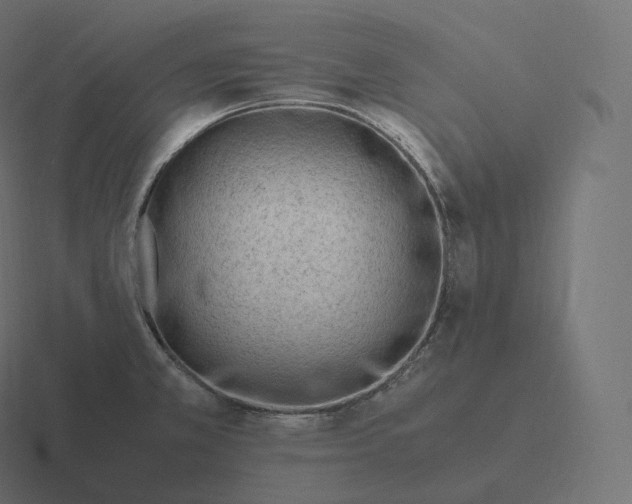 X0000116311381200912291443