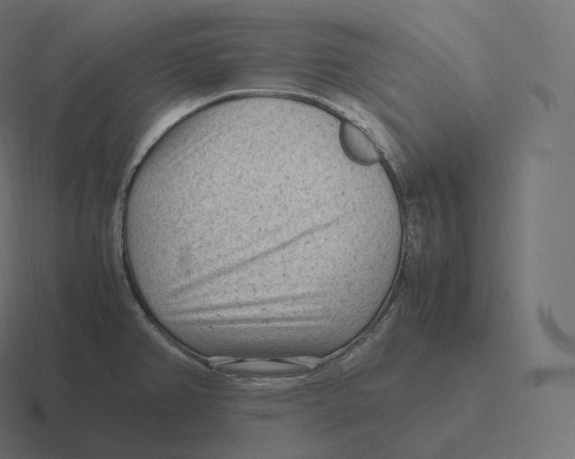 X0000116311382200912291443