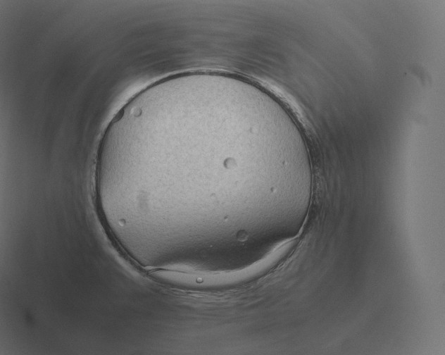 X0000116311383200912291443