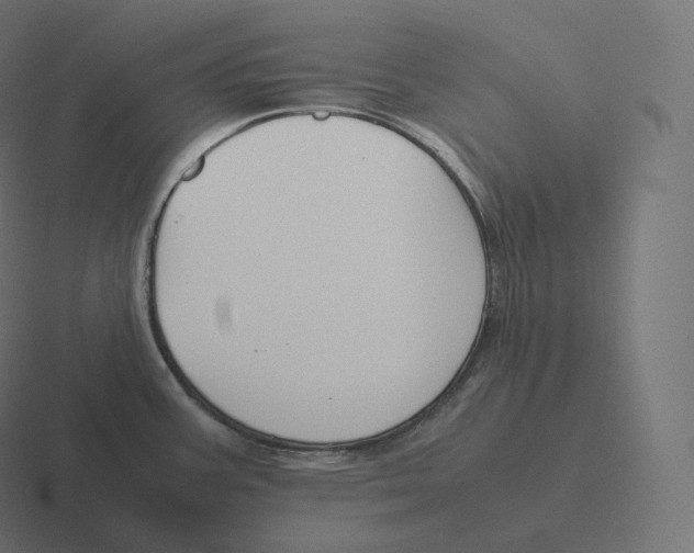 X0000116311387200912291443