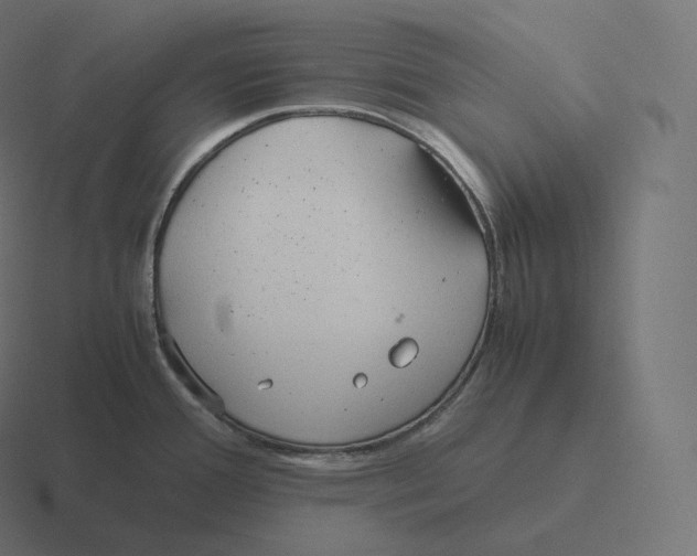 X0000116311388200912291443