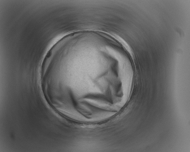 X0000116311389200912291443