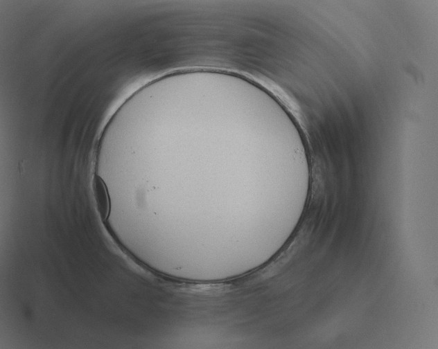 X0000116311390200912291442