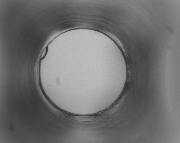 X0000116311391200912291442